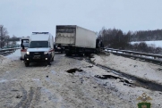 Трое взрослых и ребенок погибли в массовом ДТП на трассе М-3