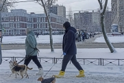 Петербуржцы тратят на домашних животных в среднем почти 6 тысяч рублей в месяц