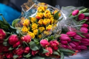 Цветы дорожают к 8 Марта: что дарить, чтобы не разориться