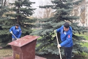«Волонтеры Победы» и ЕР дали старт «Международному субботнику»