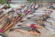 Росстат назвал регионы ДФО с самыми низкими ценами на морепродукты