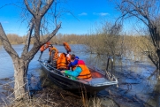 Село под Новосибирском стремительно уходит под воду: новости, которые вы могли пропустить