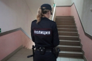 Работники птицефабрики в Ленобласти передрались: массовая бойня произошла между выходцами из Азии