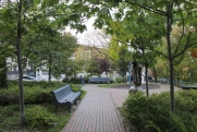 В Кирове дали старт благоустройству парка у «Дворца творчества – Мемориала»