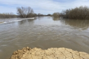 Вода в реке Тобол опустилась на 5 см