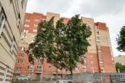 Грозы, заморозки и снег придут в Югру после жары