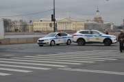 В Петербурге задержаны молодые люди, которые избивали прохожих