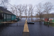 Затоплены огороды, сельхозпостройки и дома: деревня Коняшина под Тюменью терпит потоп
