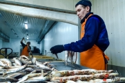 Поставки российской рыбы в Европу за год выросли на 22 процента