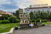 До конца 2026 года в Мурманской области установят системы против обледенения электросетей
