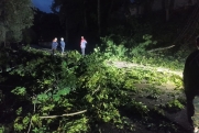 В Новгородской области без электричества остаются почти 5 тысяч человек