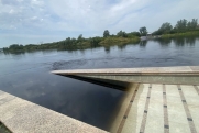 После аномального паводка власти займутся утилизацией мертвой рыбы в водоемах Тюменской области