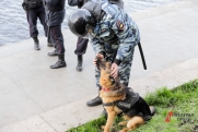 В Екатеринбурге выберут лучших ищеек