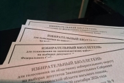 Политолог о провале «эсеров» на выборах в Тюменскую облдуму: «Не смогли сориентироваться»
