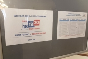 В ЦИК назвали явку на выборах по итогам второго дня голосования