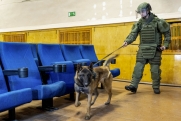 Волна сообщений о минировании школ прокатилась по Ижевску