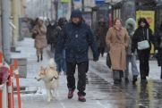 Стало известно, когда в Москве выпадет первый снег