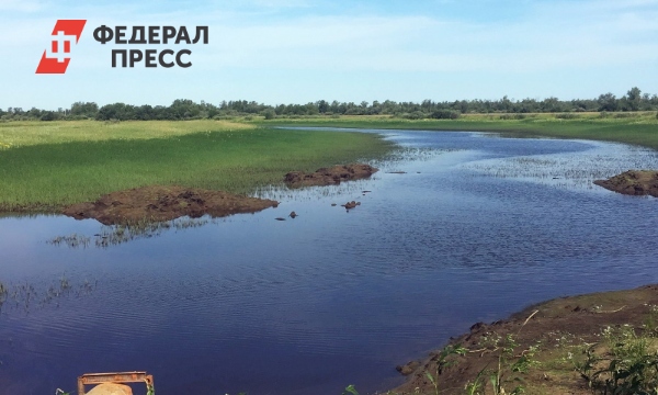 Протока байбалаковская ханты мансийск. Байбалаковская протока Ханты-Мансийск медведи.