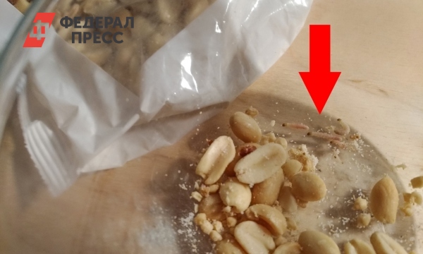Знай врага в лицо: основные амбарные вредители ASM-AGRO Дзен