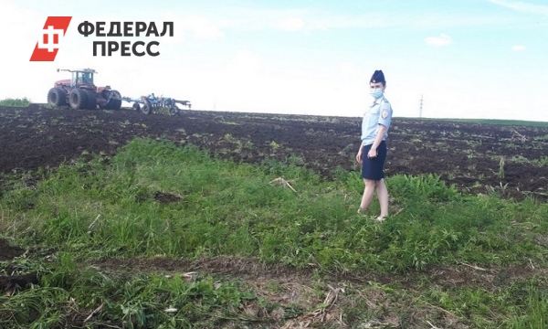 В Зиминском районе ликвидировали поле с коноплей | Иркутская область - Vimarsana News