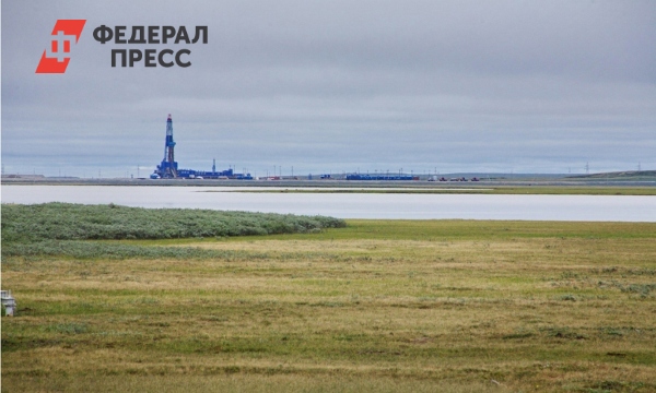 На Ямале через Avito продают месторождение нефти | Ямало-Ненецкий автономный округ - Vimarsana News