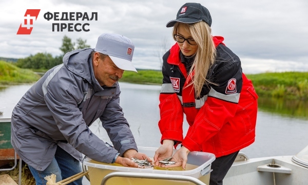 Компания «Лукойл» выпустила в Иртыш 8,5 млн мальков муксуна | Ханты-Мансийский автономный округ - Vimarsana News