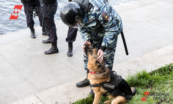 Жителя Новосибирска задержали за финансирование террористов | Новосибирская область - Vimarsana News