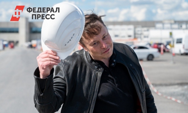 Илона Маска добавили на украинский сайт «Миротворец» | Украина ...