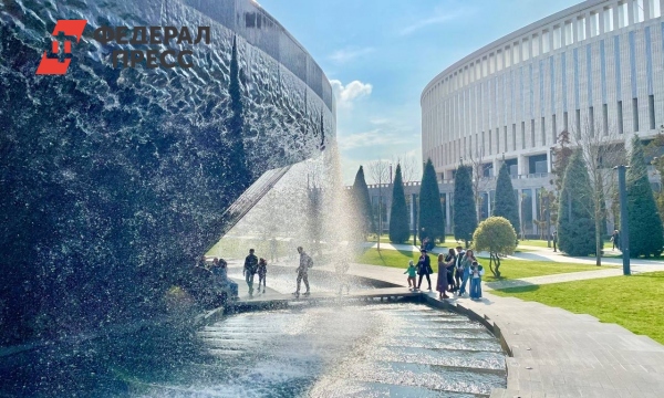 Сексуалдық бейне тұқымы