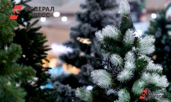 Где купить новогоднюю ель в Оренбурге: список мест | Оренбургская ...
