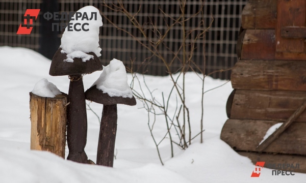 В Каменске-Уральском женщина насмерть замерзла на улице | Свердловская