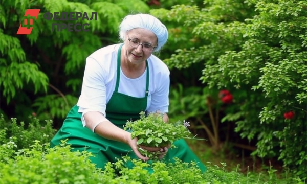 Жаркое лето на даче: Советы врачей для здоровья пенсионеров