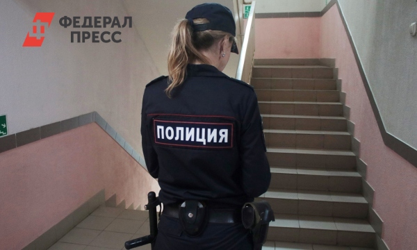 Экономическая полиция Петербурга остановила двойное мошенничество с ...