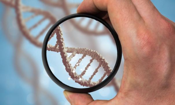 ДНК тест на отцовство: особенности и нюансы процедуры