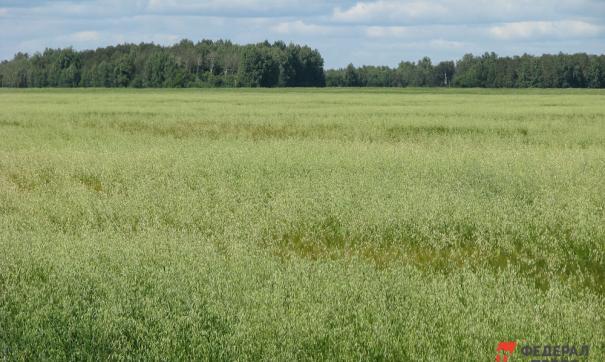 Нижегородский гектар. Воронина пашня Томская область озеро фото.