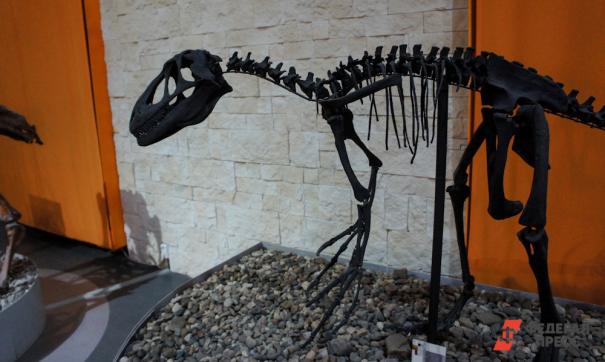 Причиной вымирания динозавров стало падение метеорита