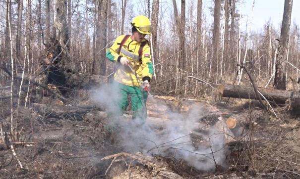 17 новых пожаров зафиксировано в Югре за сутки