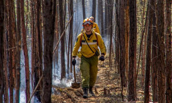 19 новых пожаров зафиксировано за сутки в Югре