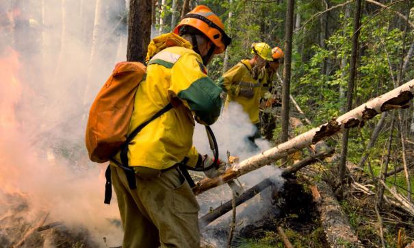 В Югре действует 23 лесных пожара