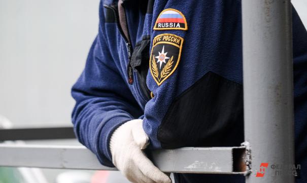 В 12% лесных пожаров виноват человек