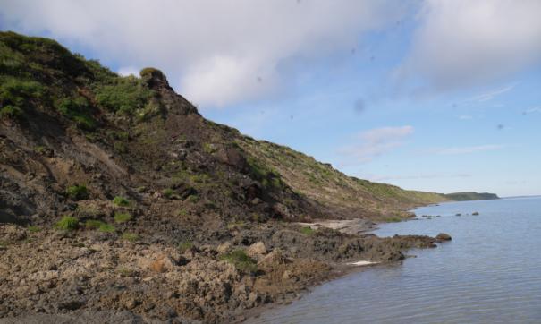 На Ямале провалился участок тундры