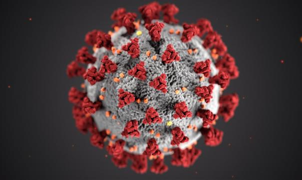 За последние сутки выявлено 15 150 случаев коронавируса