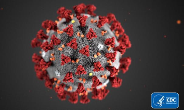 Ученые посчитали коэффициент смертности от коронавируса