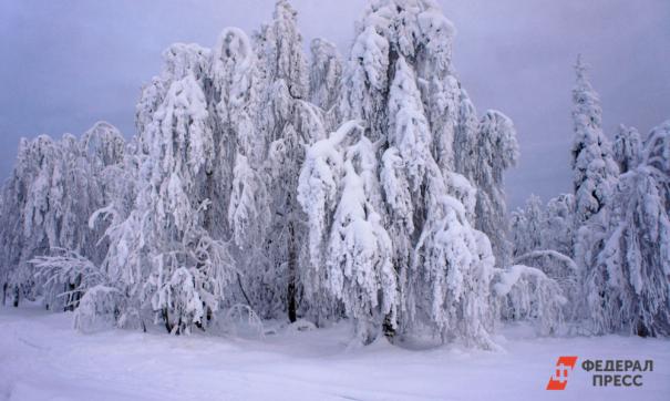 В Кузбассе новогодняя ночь будет морозной