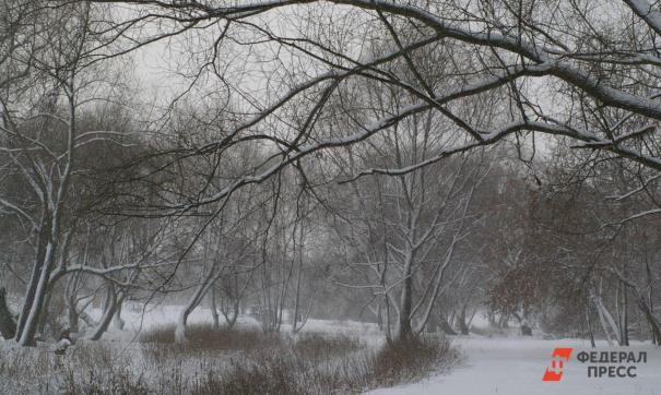 Свердловское МЧС продлило предупреждение об аномальных холодах до 3 января