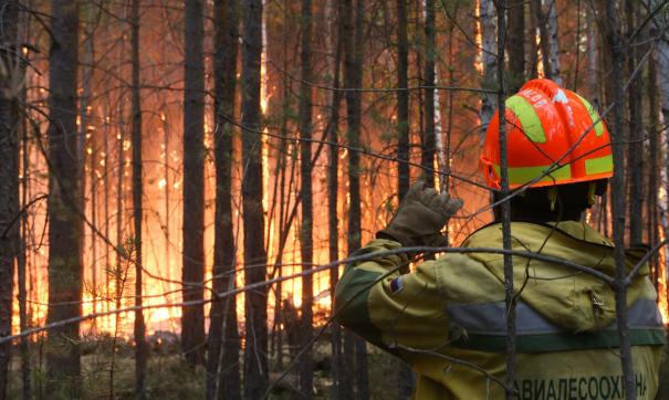 В Пермском крае в первые сутки ликвидировано 86 % пожаров