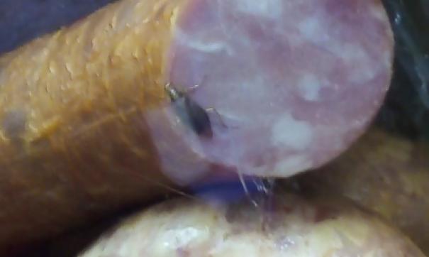Жители Златоуста попросили провести проверку в мясном отделе с тараканами