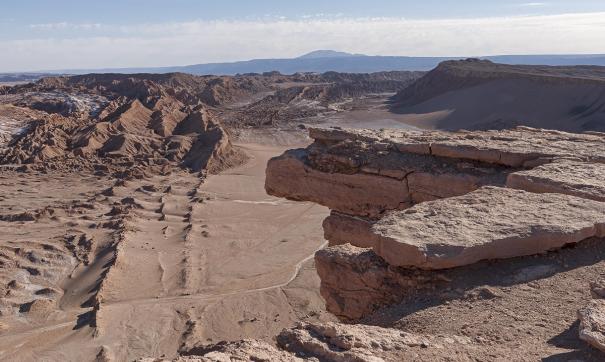 Миллионы лет назад территория пустыни Атакама пылала растительной жизнью