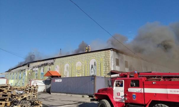 Спасатели потратили половину суток на пожар в Куйбышеве