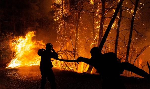 Лесные пожары в Башкирии могут вызвать проблемы для экологии всего ПФО